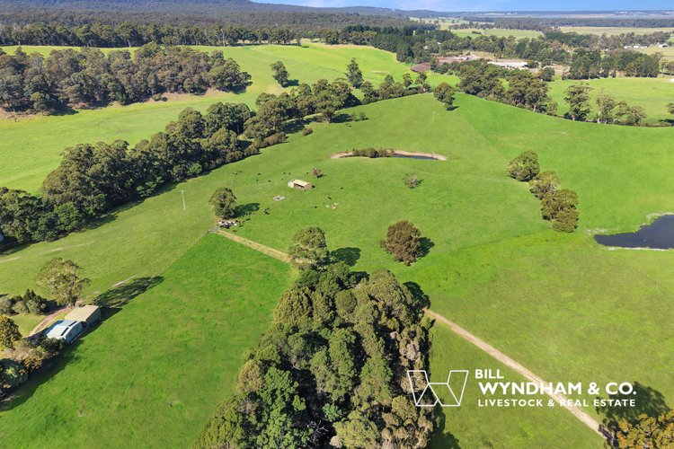 238 Coulsons Road, Orbost