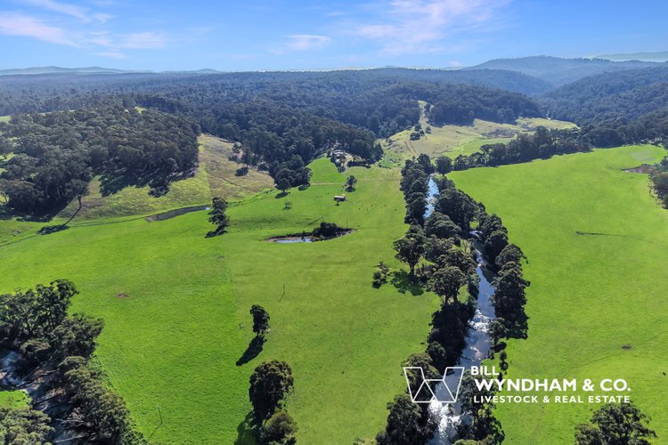 238 Coulsons Road, Orbost