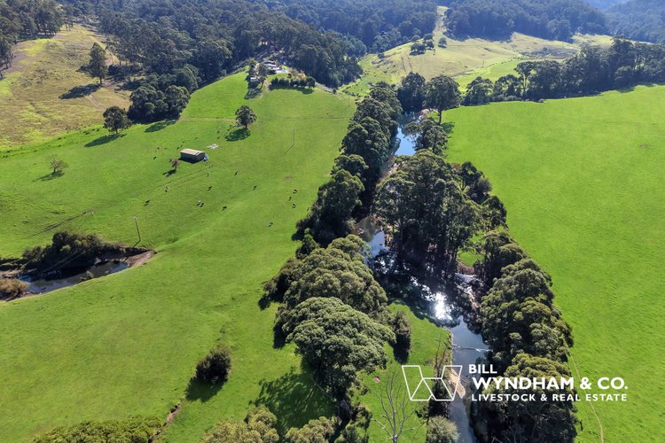 238 Coulsons Road, Orbost