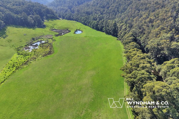 238 Coulsons Road, Orbost