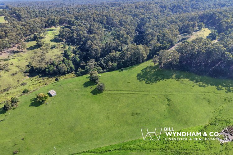 238 Coulsons Road, Orbost