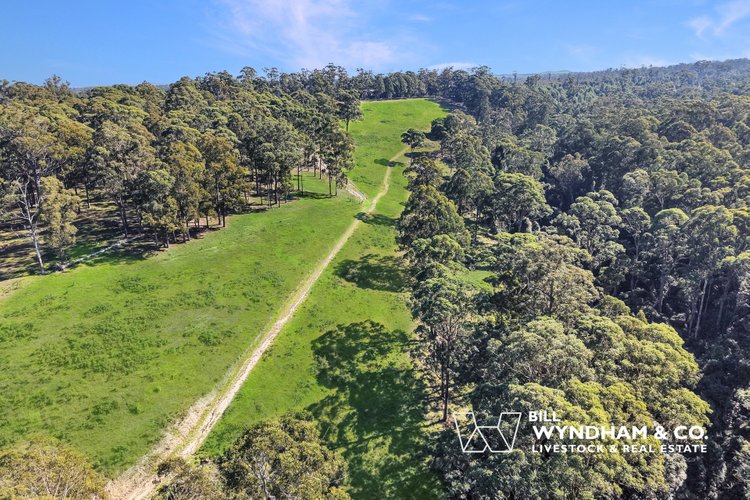 238 Coulsons Road, Orbost