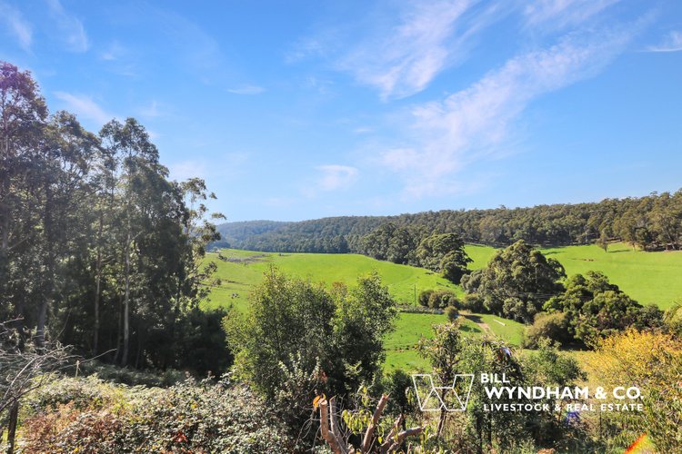 238 Coulsons Road, Orbost