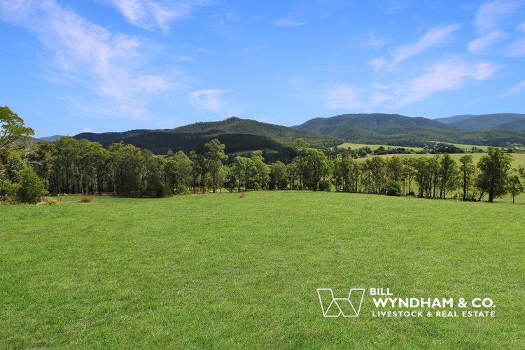 238 Coulsons Road, Orbost