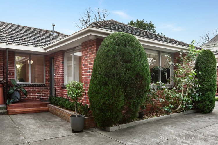 2/4 Campbell Road