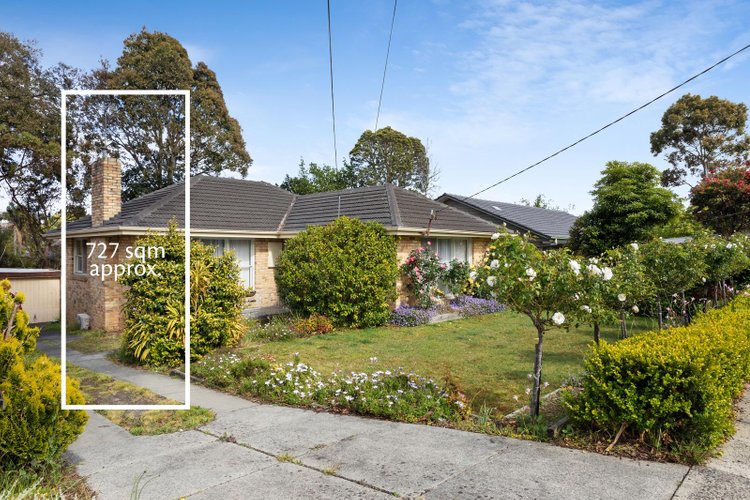 24 Larch Crescent Mount Waverley 3149