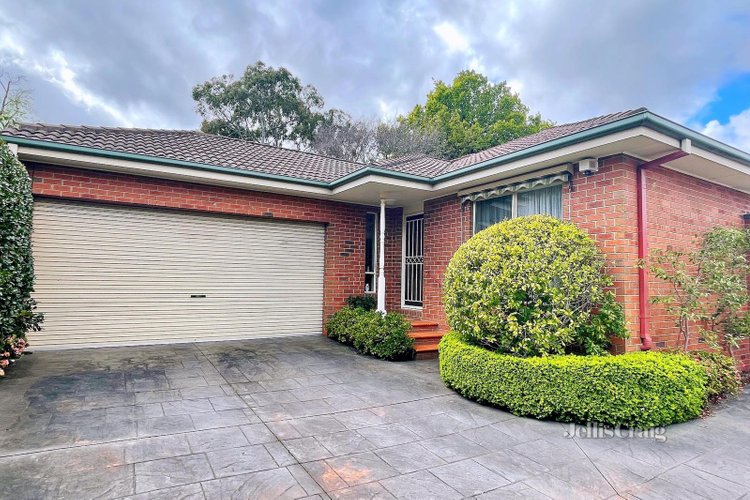 2 43 Irving Street Mount Waverley 3149