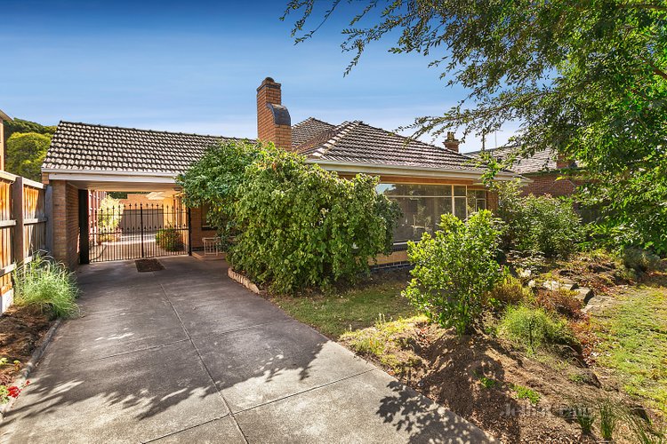 244 Buckley Street Essendon 3040