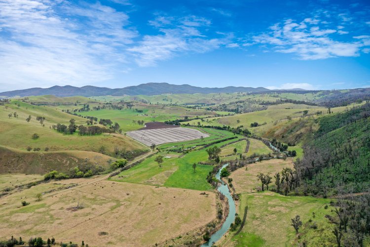 259 Sunny Point Road, Buchan