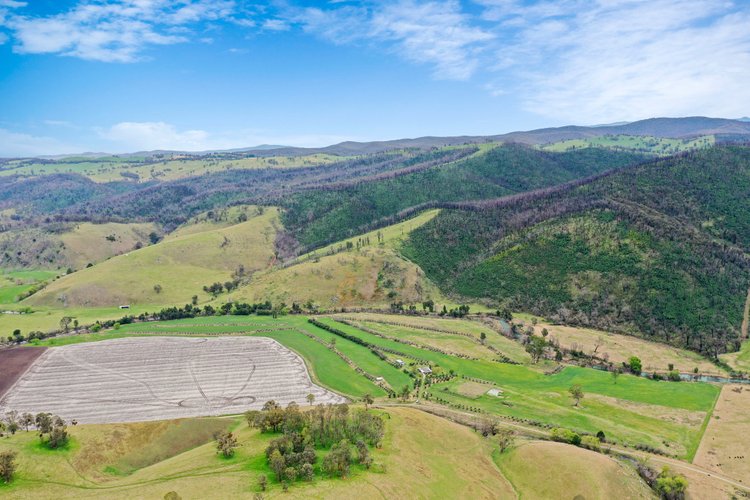 259 Sunny Point Road, Buchan