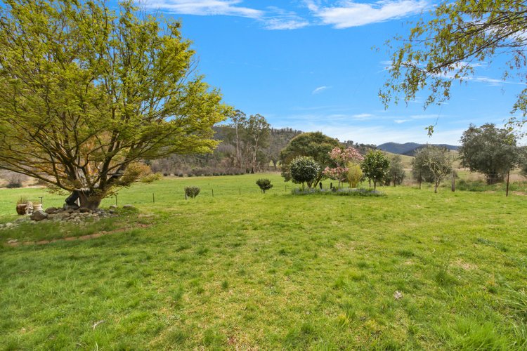 259 Sunny Point Road, Buchan