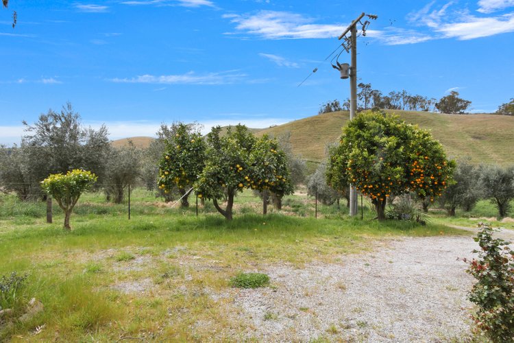 259 Sunny Point Road, Buchan