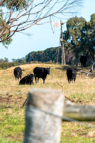 280 Boundary Road, Bengworden