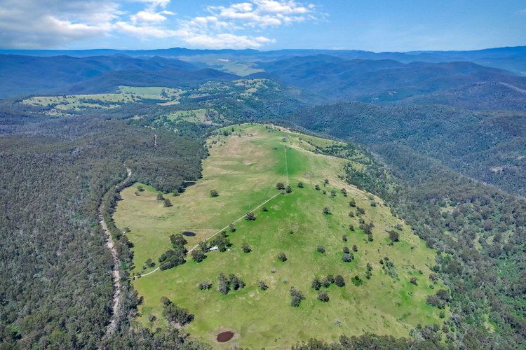 2831 Gelantipy Road, W&nbsp;Tree