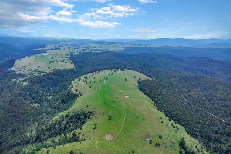 2831 Gelantipy Road, W&nbsp;Tree