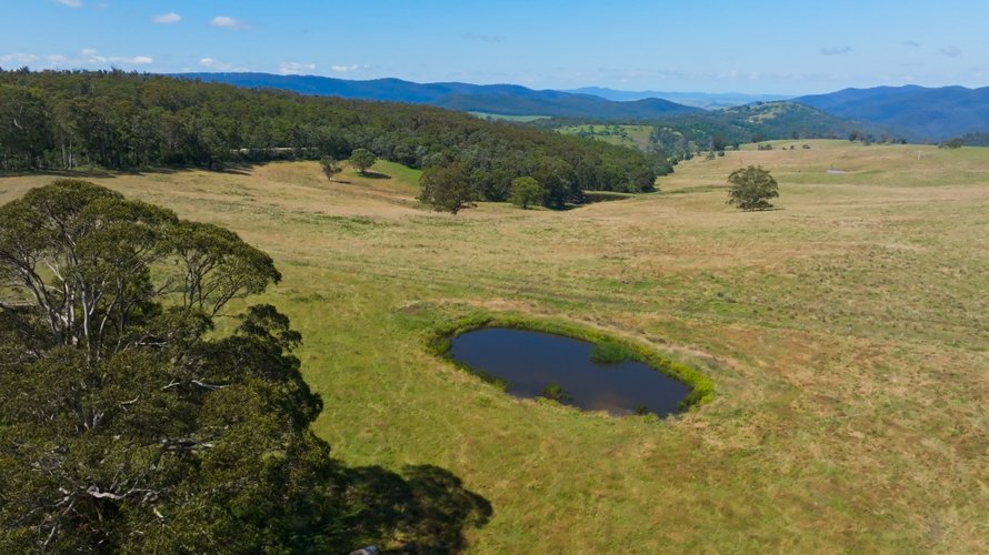 2831 Gelantipy Road, W&nbsp;Tree