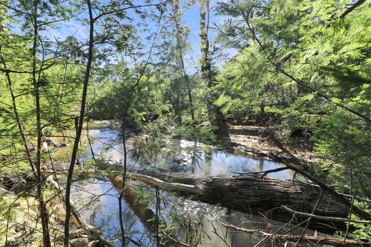 2893 Combienbar Road, Combienbar