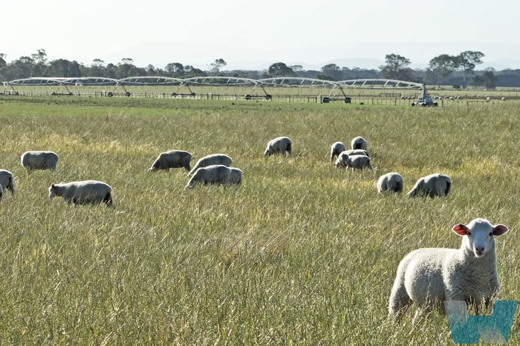 29 Lower Goon Nure Road, Goon&nbsp;Nure