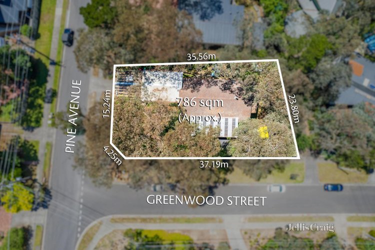 29 Pine Avenue Briar Hill 3088