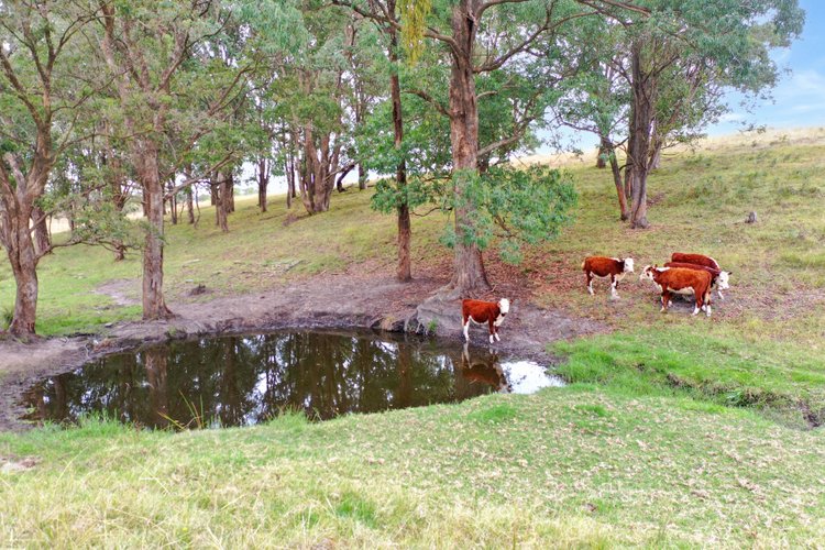 290 Cornwalls Road, Swan&nbsp;Reach