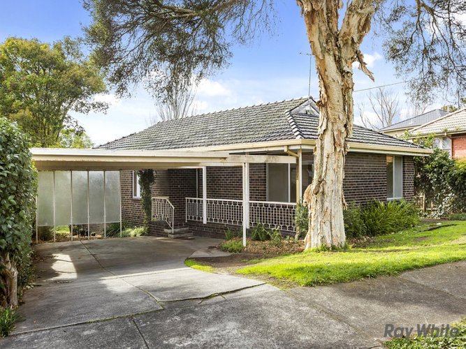 3 Alberta Avenue Box Hill North 3129
