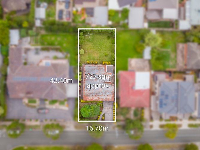 3 Alfred  Street Templestowe Lower 3107