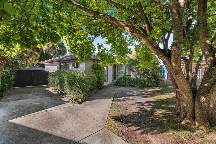 3 Bentley Court Mulgrave 3170