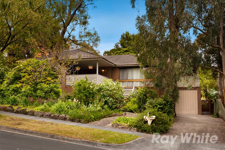 3 Greenbriar Avenue Wheelers Hill 3150