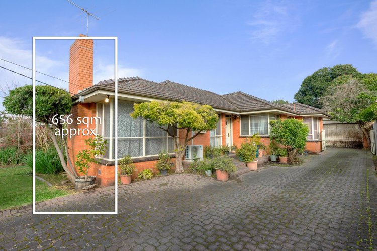 3 Pippin Avenue Glen Waverley 3150