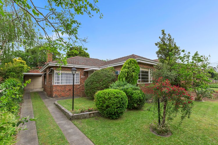 3 Rowen Street Glen Iris 3146