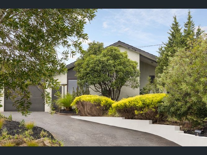 3 Snead Court Mount Waverley 3149