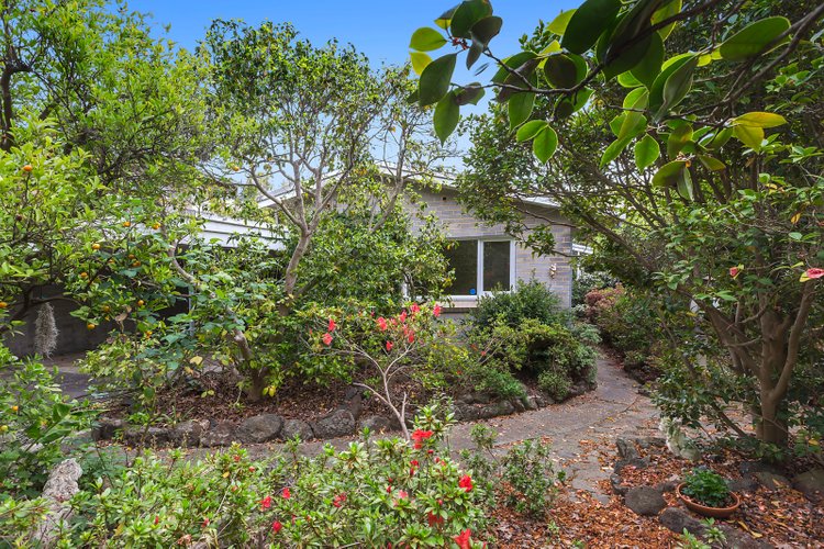 31 Capella Street Balwyn North 3104