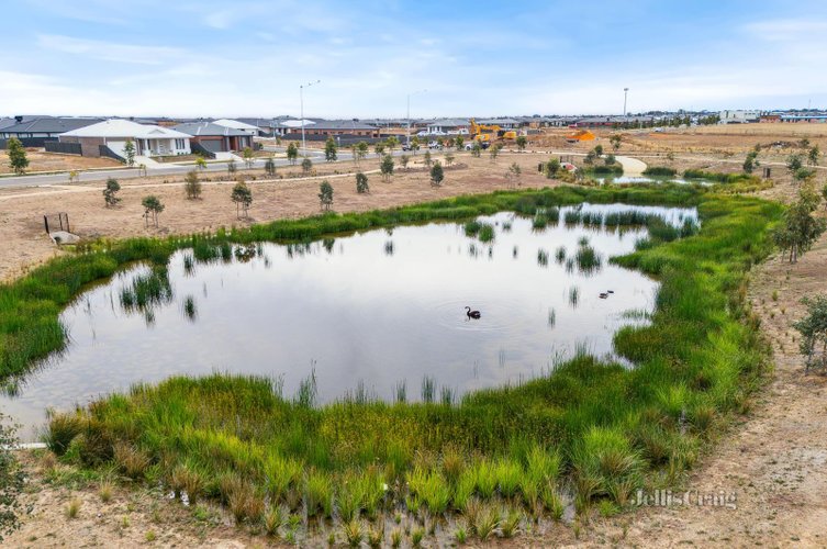 31 Cruz Road  Winter Valley 3358