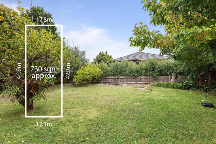 31 Olinda Street Glen Waverley 3150