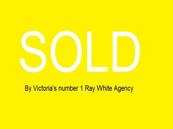 31 Sadie Street Mount Waverley 3149