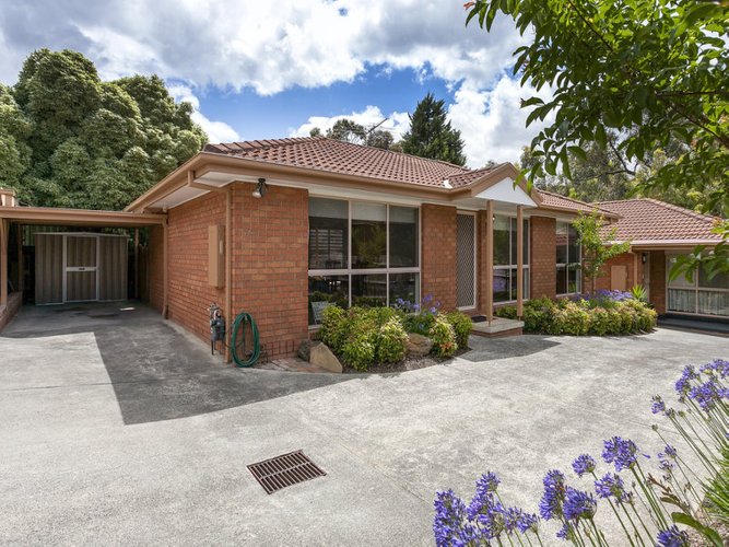 3 10 Nelson Street Ringwood 3134