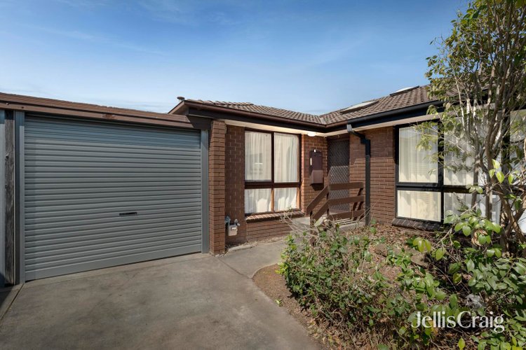 3 16 Wantirna Road Ringwood 3134