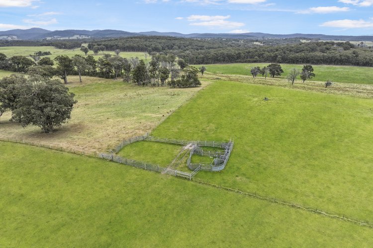 3170 Bairnsdale-Dargo Road, Glenaladale