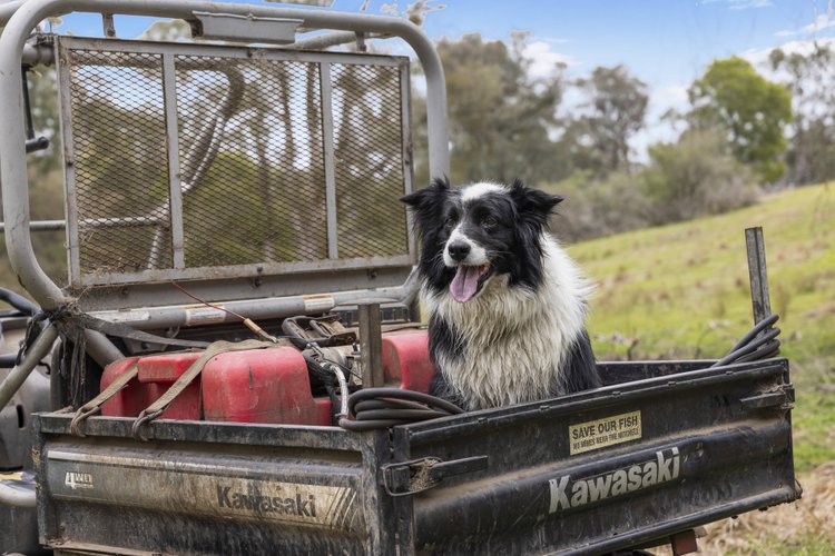 3170 Bairnsdale-Dargo Road, Glenaladale