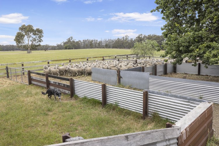 3170 Bairnsdale-Dargo Road, Glenaladale