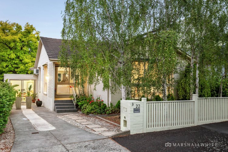 3/22 Alma Road