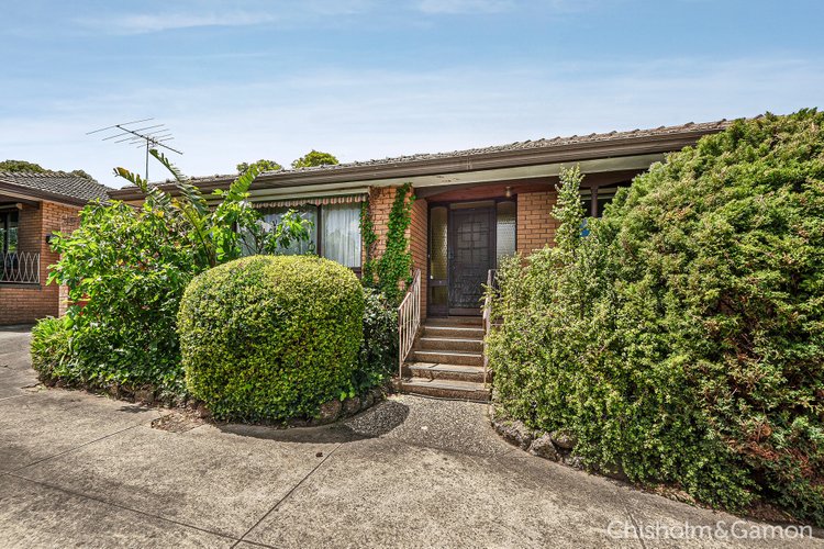 3 232 Belmore Road Balwyn North 3104