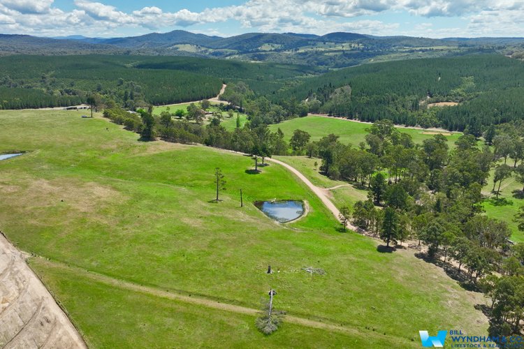 3235 Bairnsdale - Dargo Road, Glenaladale