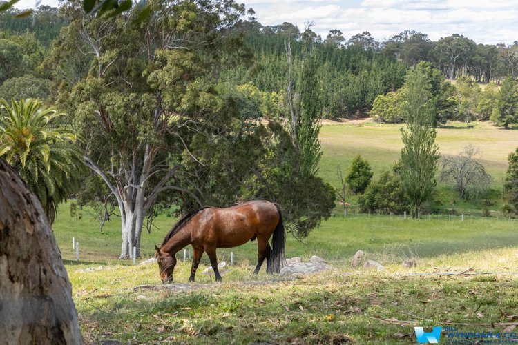 3235 Bairnsdale - Dargo Road, Glenaladale