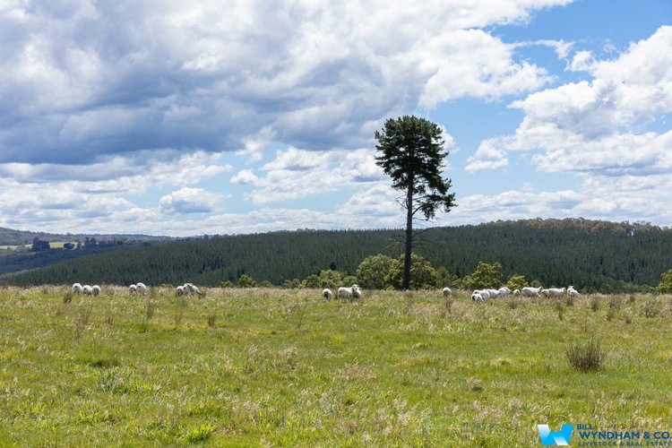 3235 Bairnsdale - Dargo Road, Glenaladale