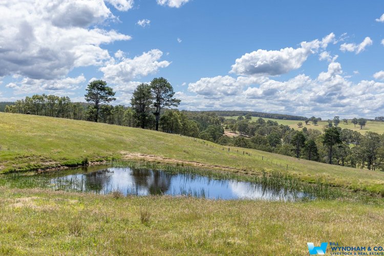 3235 Bairnsdale - Dargo Road, Glenaladale
