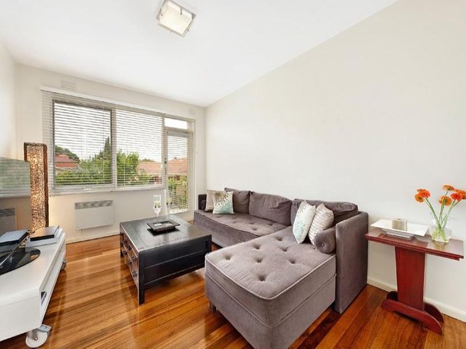 3 246 Union Road Surrey Hills 3127