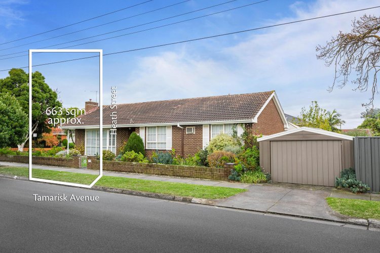 33 Tamarisk Avenue Glen Waverley 3150