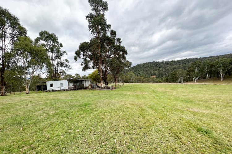 3306 Benambra-Corryong Road, Benambra