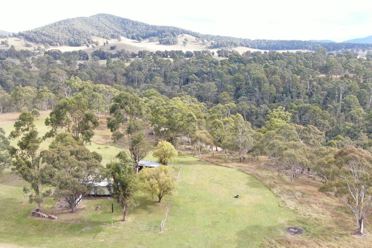 3306 Benambra-Corryong Road, Benambra